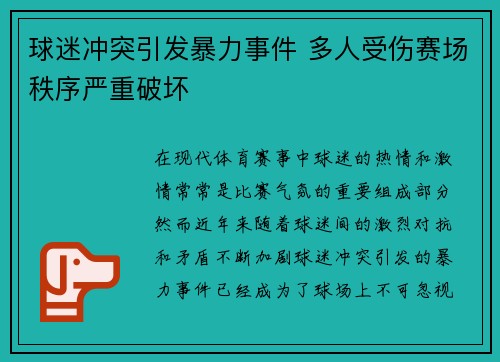 球迷冲突引发暴力事件 多人受伤赛场秩序严重破坏
